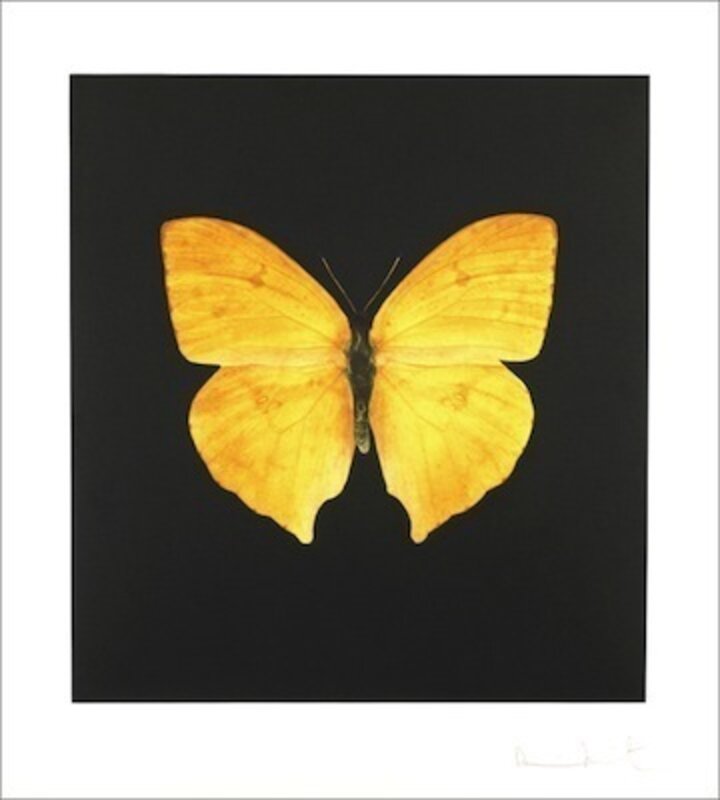 Damien Hirst, ‘Large yellow’, 2007, Print, Hand inked photogravure on 400 gsm Velin d'Arches, Vertu Fine Art