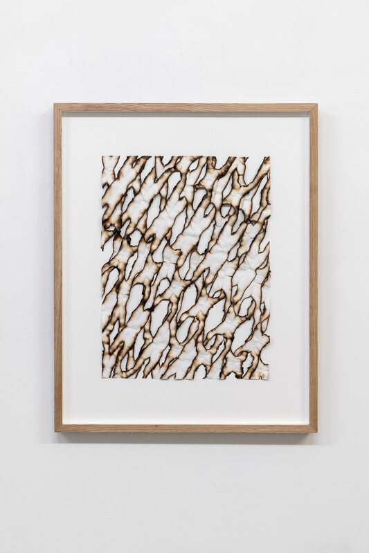 Ariel Schlesinger, ‘Untitled (Burnt Paper) 017’, 2019, Drawing, Collage or other Work on Paper, Burnt paper, Galleria Massimo Minini