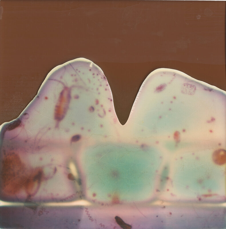 Stefanie Schneider, ‘Through the looking Glass (Deconstructivism)’, 2015, Photography, Digital C-Print, based on a Polaroid, Instantdreams