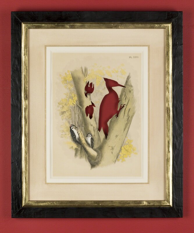 Brandon Ballengée, ‘RIP Ivory-Billed Woodpecker: After Theodore Jasper’, 1881/2015, Print, Artist cut and burnt chromolithograph, etched glass funerary urn and ashes, Goya Contemporary/Goya-Girl Press