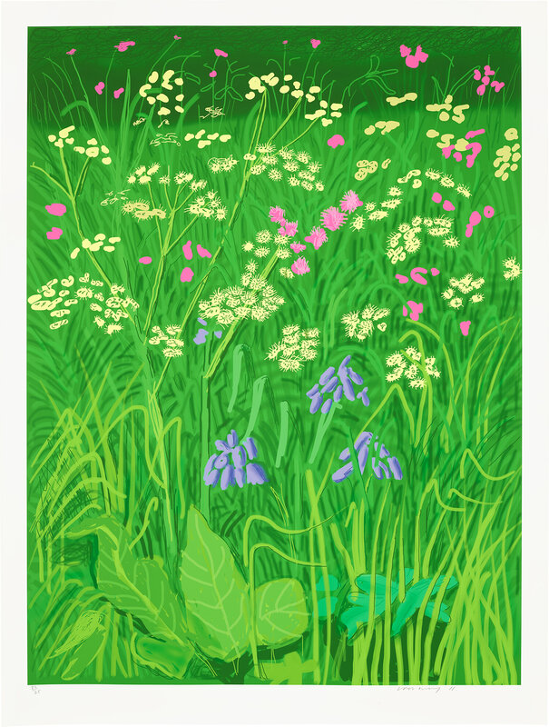 David Hockney, ‘The Arrival of Spring in Woldgate, East Yorkshire in 2011 (twenty eleven) - 17 May’, 2011, Print, IPad drawing in colours, printed on wove paper, with full margins., Phillips