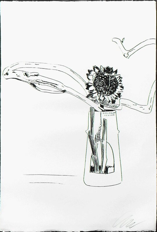 Andy Warhol, ‘FLOWERS FS II.102 (BLACK AND WHITE)’, 1974, Print, SCREENPRINT ON ARCHES PAPER AND J. GREEN PAPER, Gallery Art