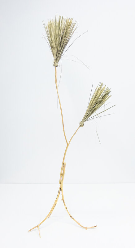 Michael Linares, ‘Work #7’, Sculpture, Native oak, wire, palm broom, Km 0.2