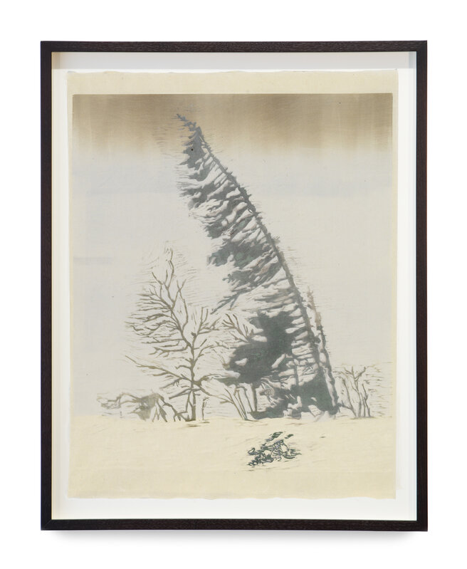 Mamma Andersson, ‘Fir’, 2016, Print, Handprinted colour woodcut on rice paper, monotype, Stephen Friedman Gallery