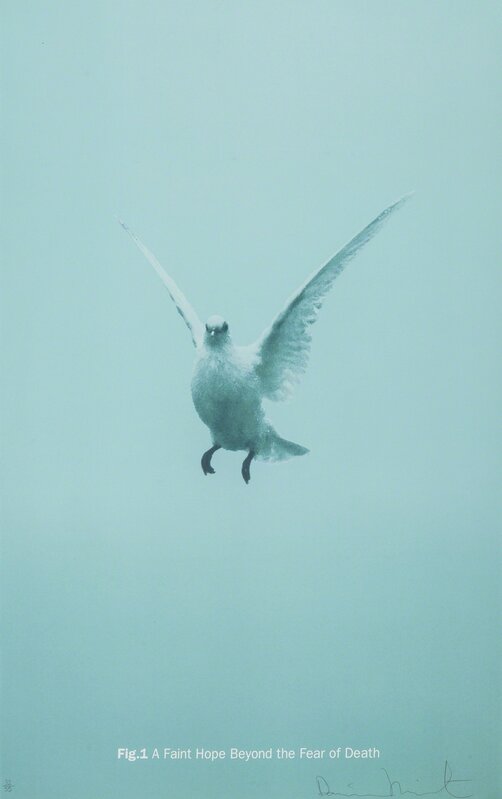 Damien Hirst, ‘Fig 1a - A Faint Hope Beyond the Fear of Death’, 2005, Print, Screenprint in colours, Forum Auctions