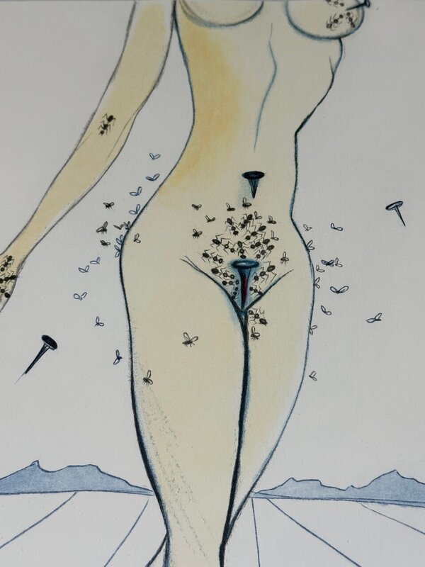 Salvador Dalí, ‘Casanova - Ants, Nails & Flies On Nude’, 1967, Drawing, Collage or other Work on Paper, Original engraving, Dali Paris