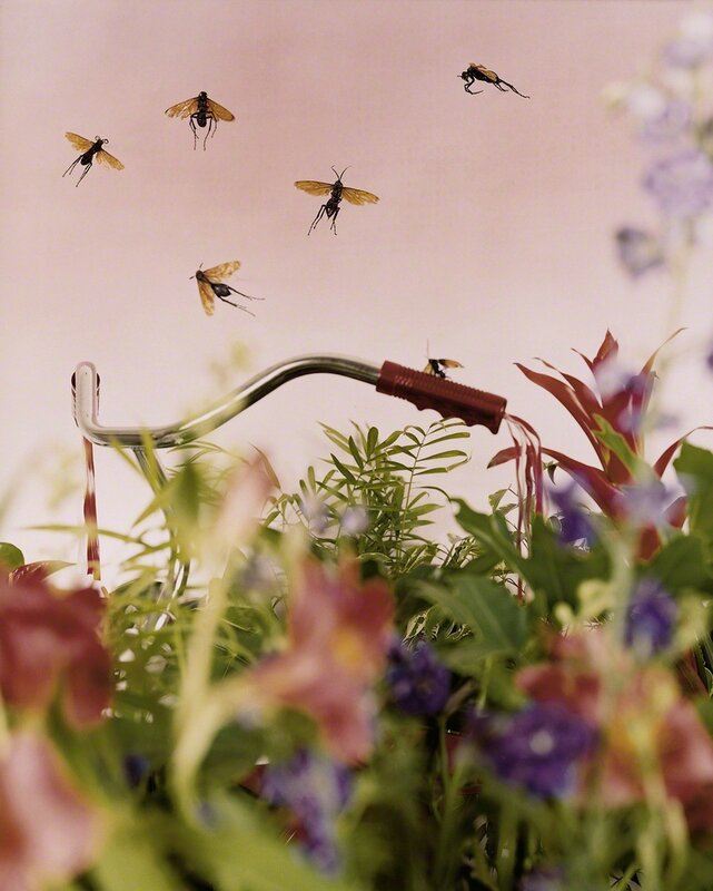 Lori Nix and Kathleen Gerber, ‘Wasps’, 2002, Photography, Chromogenic print, Light Work
