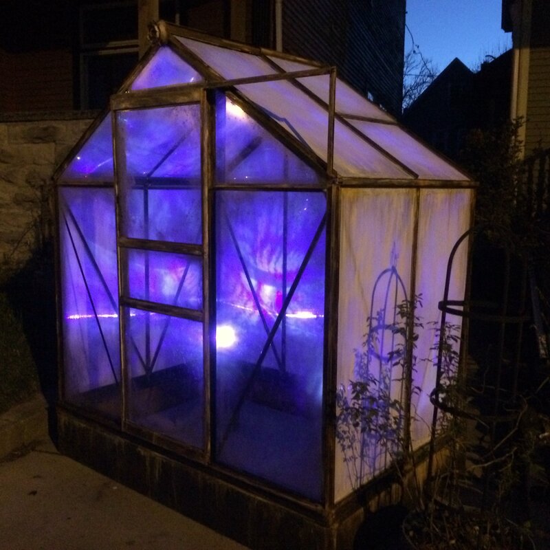Amanda Besl, ‘A Botanical Phantasm’, 2020, Installation, Glass greenhouse with projection, Resource Art