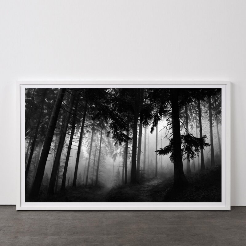 Robert Longo, ‘Fairmount Forest’, 2014, Print, Pigment Print, Weng Contemporary