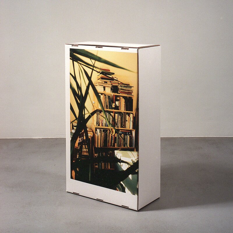 Joe Scanlan, ‘Shipping Cartons’, 1999, Mixed Media, Cardboard boxe, colored inkjet print on a PVC adhesive film, michèle didier