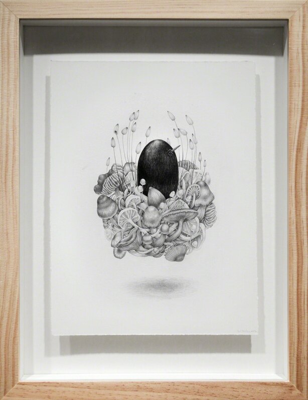 Zoe Keller, ‘Egg’, 2016, Drawing, Collage or other Work on Paper, Graphite, Paradigm Gallery + Studio