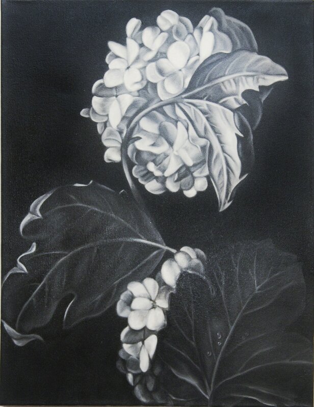 Shelley Reed, ‘Hydrangea (after Rachel Ruysch)’, 2010, Painting, Oil on canvas, Clark Gallery