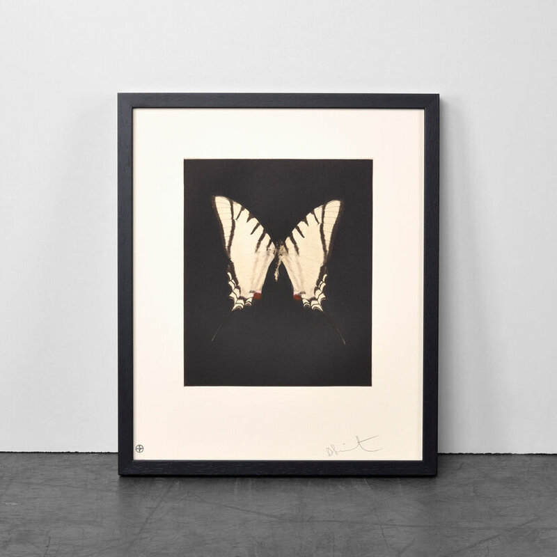 Damien Hirst, ‘Spirit’, 2009, Print, Color Etching, Weng Contemporary
