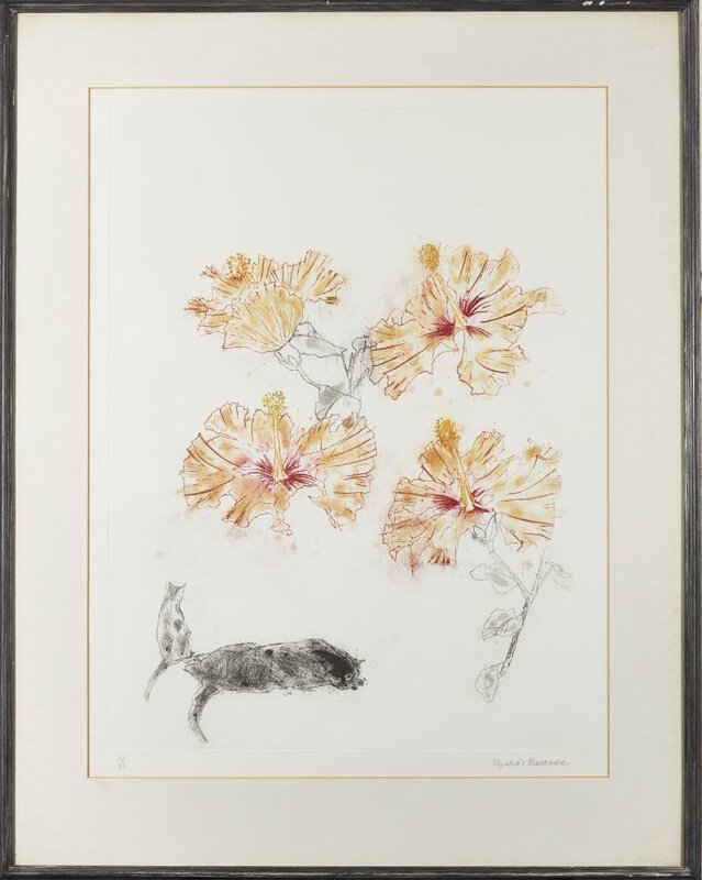 Elizabeth Blackadder, ‘Hibiscus & Cats’, 1985, Print, Etching in colours on wove, Roseberys