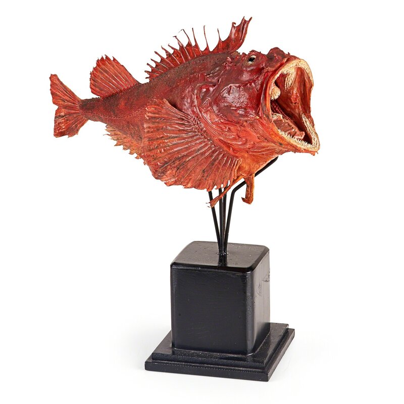 ‘Scorpion Fish, Corals  and Beauties’, Design/Decorative Art, Scorpion fish mounted on stand, collection of twelve corals, mounted and unmounted, and two porcelain figurines, Rago/Wright/LAMA/Toomey & Co.