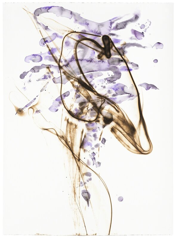 Etsuko Ichikawa, ‘Vitrified 1218’, 2018, Painting, Glass pyrograph, watercolor, Michael Warren Contemporary