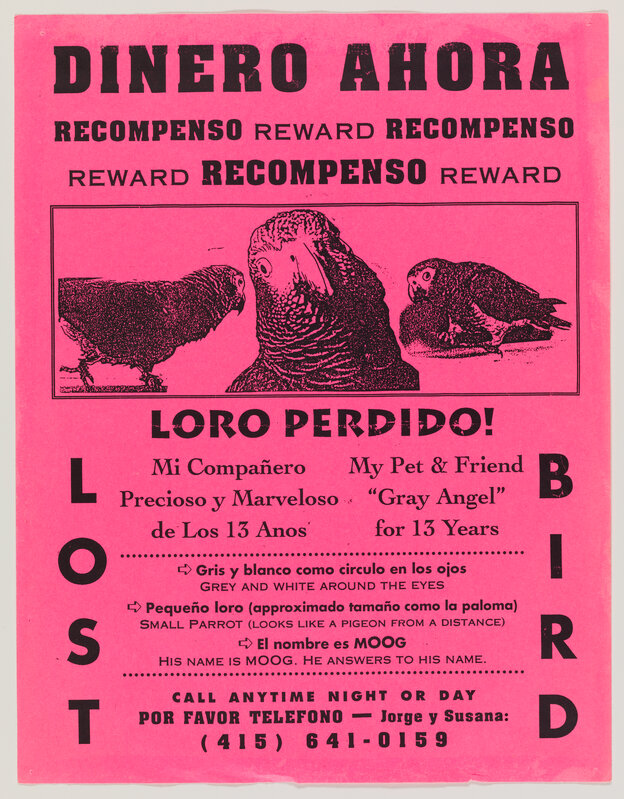 Rigo 23, ‘Found “Lost Bird” Poster’, 1989-1998, Print, Electrostatic print, San Francisco Museum of Modern Art (SFMOMA) 