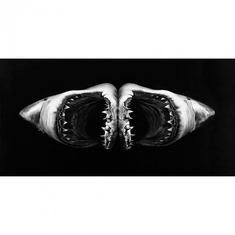 Robert Longo, ‘Double Shark’, 2010, Print, Archival pigment print, Vogtle Contemporary 