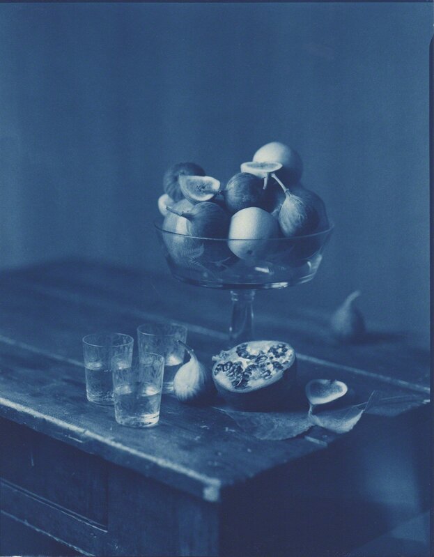 John Dugdale, ‘Figs and Pomegranates’, 1997, Photography, Cyanotype Photograph, Holden Luntz Gallery