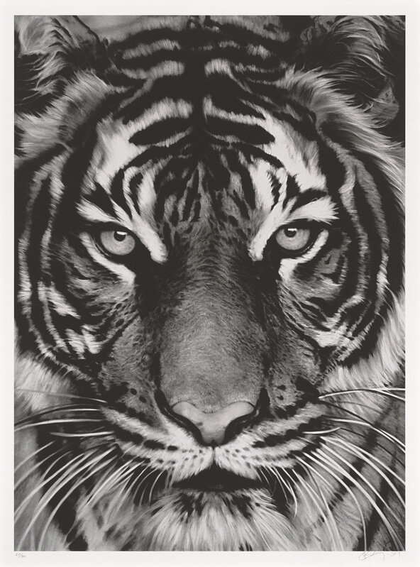 Robert Longo, ‘Tiger’, 2011, Print, Archival pigment print on Epson hot-pressed paper, Christie's
