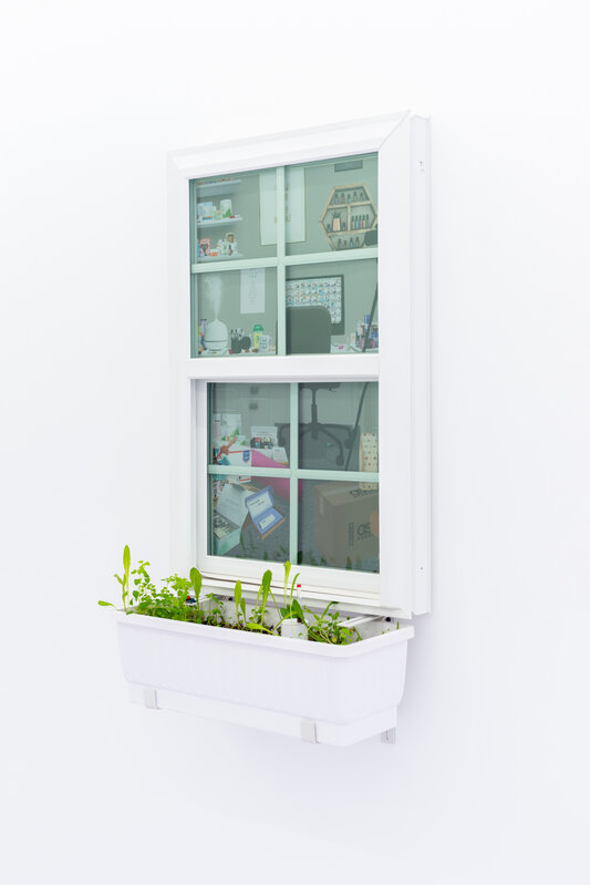 Molly Soda, ‘Opening Up (Vulnerable)’, 2020, Sculpture, Vinyl window, vinyl decals, window box, weeds, Jack Barrett 