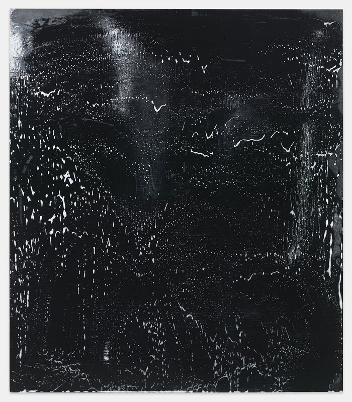 Kate Shepherd, ‘Car Wash’, 2020, Painting, Screen printed enamel on panel, Galerie Lelong & Co.
