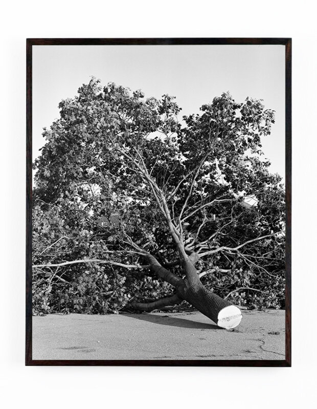 Zora J Murff, ‘Cleared’, 2020, Photography, Archival pigment print, Webber