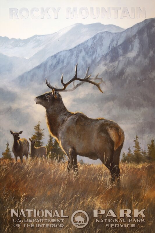Jennifer Johnson, ‘Rocky Mountain National Park - Elk’, 2020, Painting, Oil on Canvas, Gallery Wild