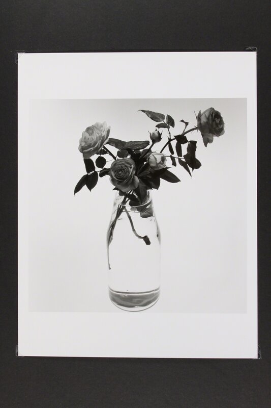Phil-Hee Kong, ‘Rose’, 2015, Photography, Ilfobrom galerie, Gallery LVS
