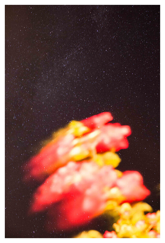 Chad Moore, ‘Ibiza (Night Sky 3)’, 2018, Photography, C-print, Galerie Écho 119
