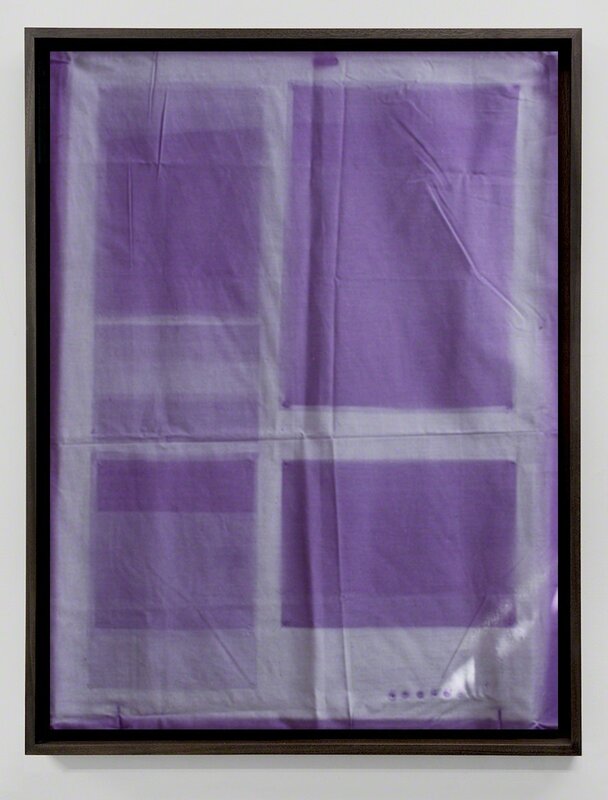 Tom Lovelace, ‘Purple Drape, Aarhus ’, 2017, Photography, Photogram on cotton canvas, Flowers