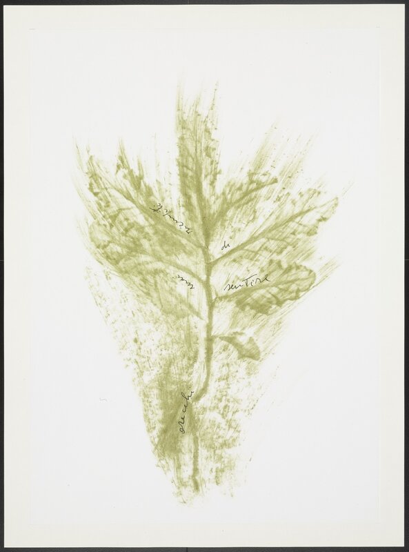 Giuseppe Penone, ‘Trentatré Erbe (Thirty-three Herbs)’, 1989, Books and Portfolios, 33 original lithographs & photolithographs glued on Fabriano paper, Samhart Gallery