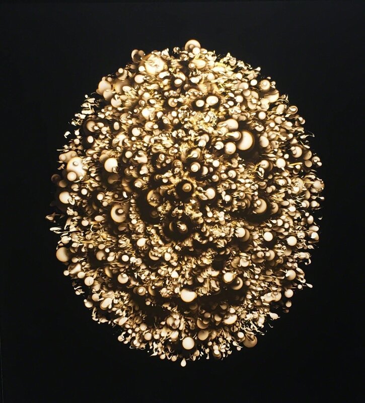Sharon Switzer, ‘Golden Egg’, 2017, Print, Archival pigment print, Corkin Gallery