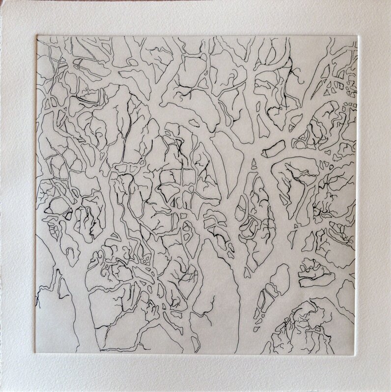 Nate Cassie, ‘Tree Series: SAMA I’, 2011, Print, Etching, relief, aquatint, Ruiz-Healy Art