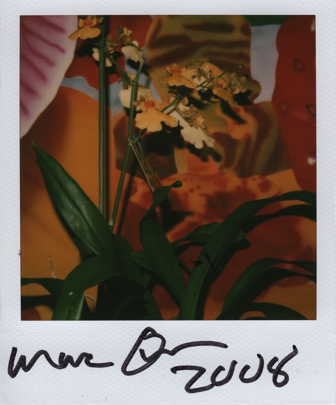 Marc Quinn, ‘Flower’, 2008, Photography, Polaroid, Grob Gallery