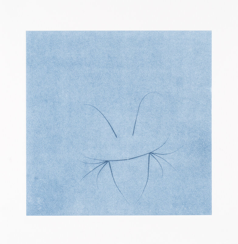 Nina Katchadourian, ‘Whisker Print (5B)’, 2013, Print, Cat whisker stencil monotype, Island Press