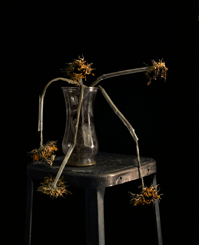 Brigitte Lustenberger, ‘Flowers XXII’, 2011, Photography, C-print, CHRISTOPHE GUYE GALERIE 