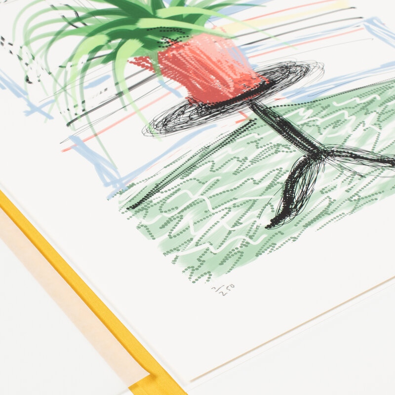 David Hockney, ‘A Bigger Book. Art Edition (No. 501–750), 'Untitled, 468'’, 2010, Print, IPad drawing 8-colour inkjet print on cotton-fiber archival paper, with printed book and stand, Lougher Contemporary