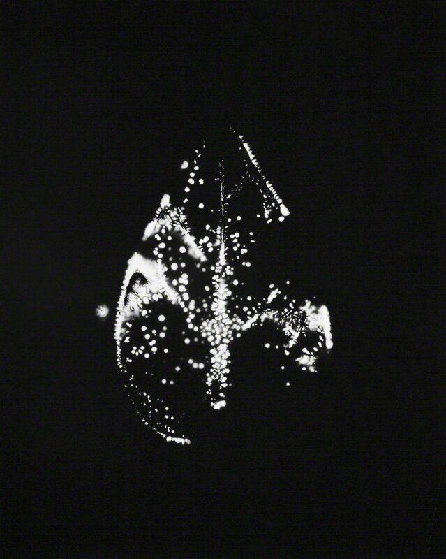 Wataru Yamamoto, ‘Unknown 4, from the series "Leaf of Electric Light"’, 2012, Photography, Silver gelatin print, CHRISTOPHE GUYE GALERIE 