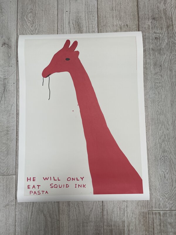 David Shrigley, ‘Animal Series (Set of 4)’, 2020, Posters, 4 offset lithograph on wove paper, Artsy x Capsule Auctions