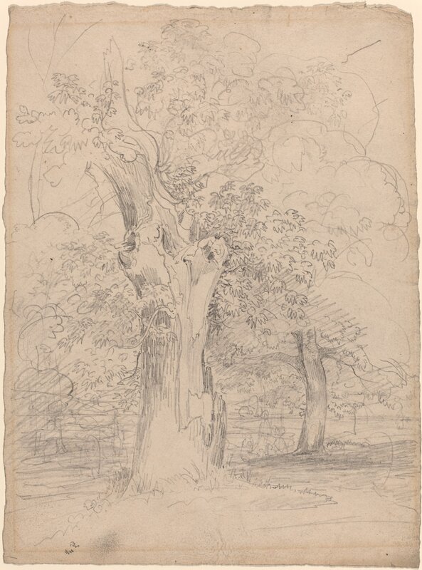 Friedrich Salathé, ‘An Ancient Tree with Figures in a Landscape’, ca. 1835, Drawing, Collage or other Work on Paper, Graphite on wove paper, National Gallery of Art, Washington, D.C.