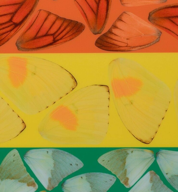 Damien Hirst, ‘Large Butterfly Heart H7-3’, 2020, Print, Laminated Giclée print on aluminium composite panel, artempus