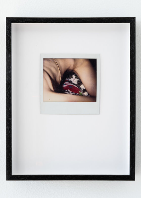 Genesis Breyer P-Orridge, ‘Lucy Fur (Can you See My Pussy)’, 2004, Photography, Polaroid, Nina Johnson