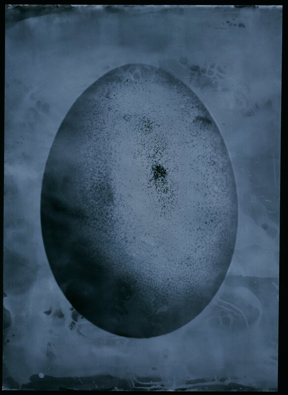 Paul Quant, ‘Fertility’, Photography, Fine art print on Hahnemühle Photo Rag Ultra Smooth., Galleri Duerr