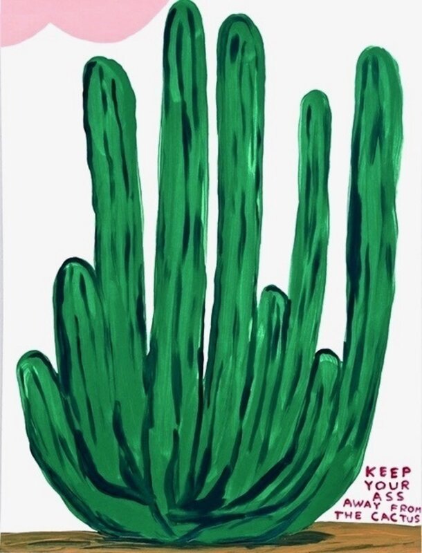 David Shrigley, ‘Keep Your Ass Away from the Cactus’, 2020, Print, Screenprint in colors, Artsy x Capsule Auctions
