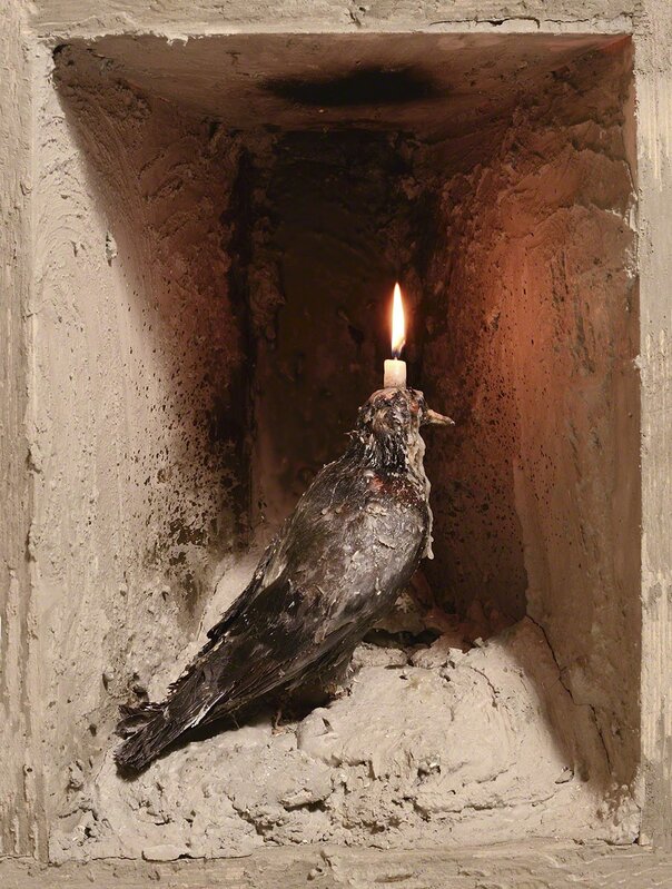 Amon Yariv, ‘Pigeon to Candle’, 2015, Photography, Color print, Rosenfeld Gallery