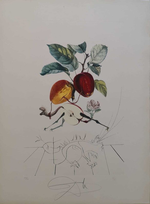 Salvador Dalí, ‘FlorDali/Fruits - Pomme Dragon’, 1969, Drawing, Collage or other Work on Paper, Original engraving + lithography, Dali Paris