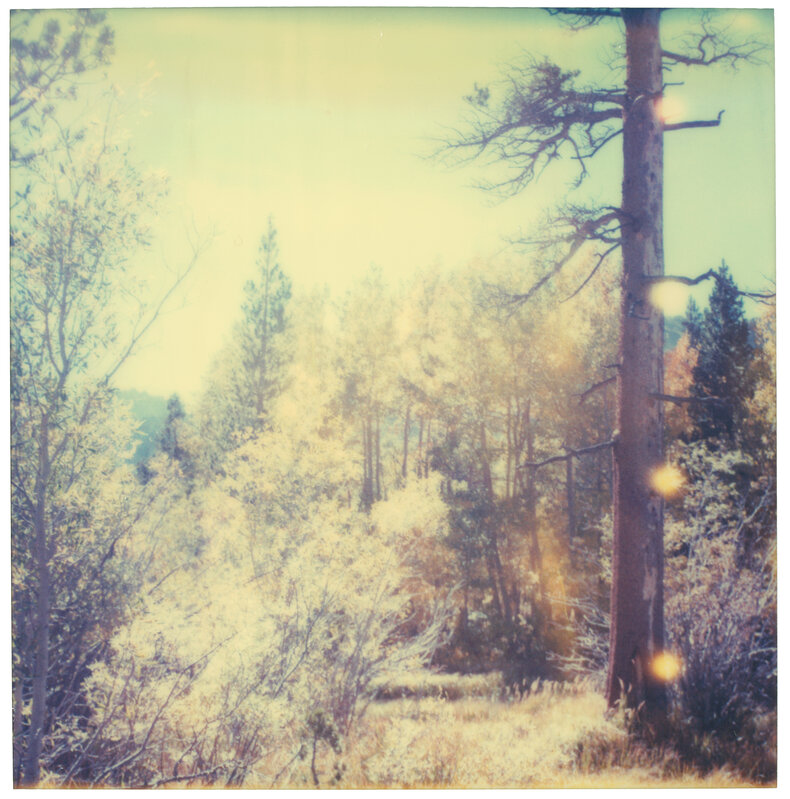 Stefanie Schneider, ‘In The Range Of Light III - 6 pieces, analog, based on a Polaroid’, 2003, Photography, Analog C-Print, hand-printed by the artist on Fuji Crystal Archive Paper, based on a Polaroid, not mounted, Instantdreams