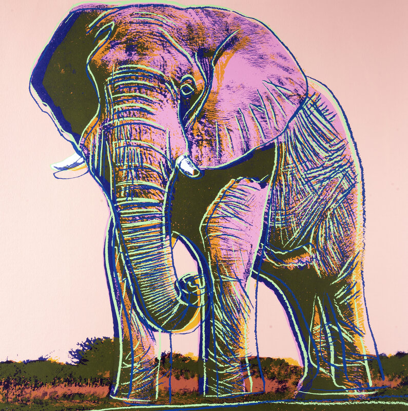 Andy Warhol, ‘Elephant, from Endangered Species’, 1983, Print, Screen print in colours on Lenox Museum Board, Tate Ward Auctions