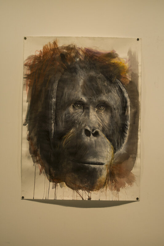 Russ Ronat, ‘Orangutan’, 2018, Drawing, Collage or other Work on Paper, Mixed Media on Canvas, Savina Museum of Contemporary Art